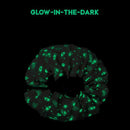 2 u 1 vreća i podloga - Svemir glow in the dark