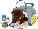 Kuca sa torbom i veterinarskim setom