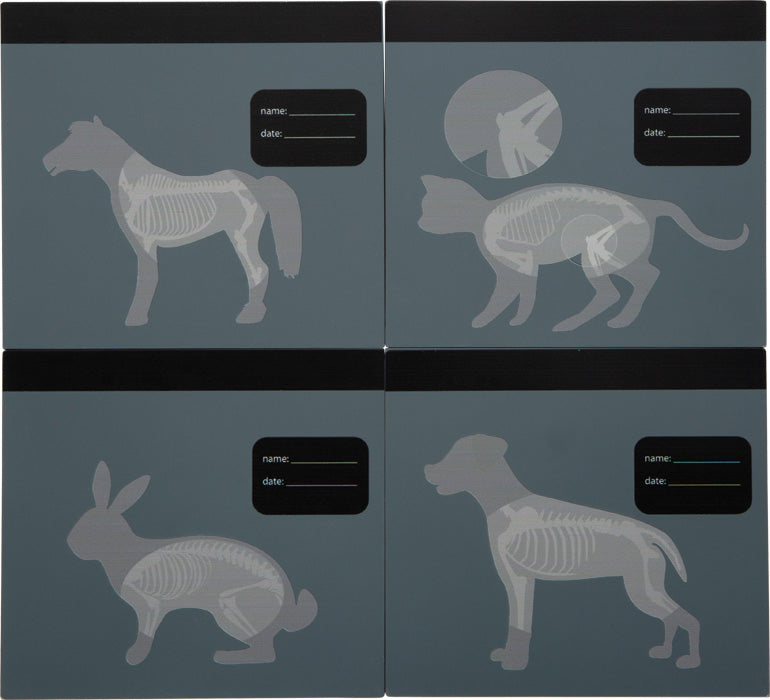 Veterinarski set sa zekom