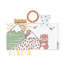 Knjiga aktivnosti - ljuta lisica