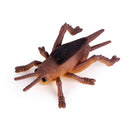 Insekti za stiskanje