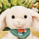 Bež zeka u kućici 16 cm