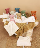 Plišane mede sa mazilicom