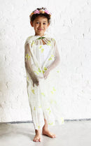 Plašt za vile - leptir