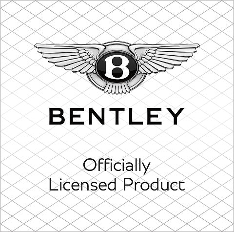Bentley tricikl 6 u 1 - braon beli